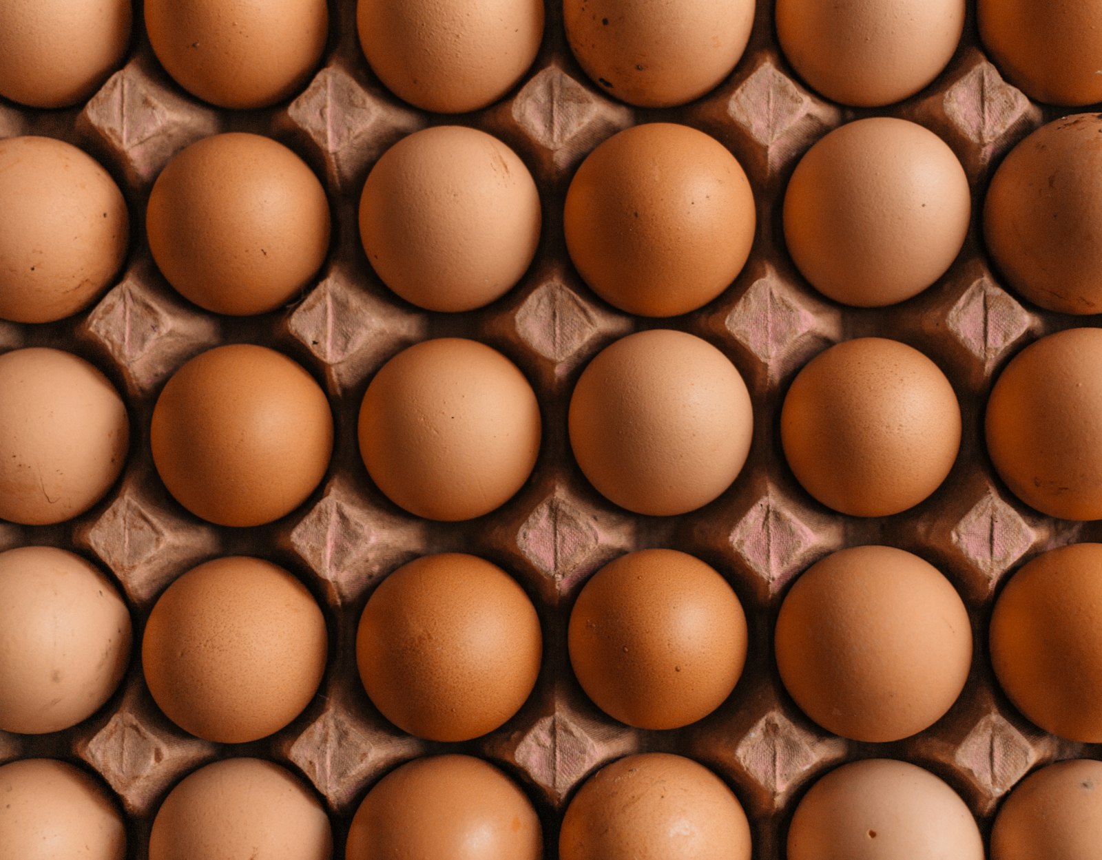 Tray of fresh eggs